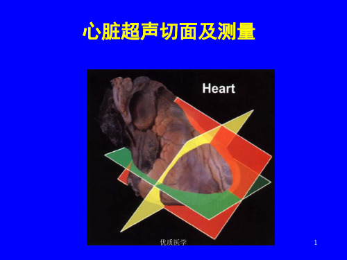 心脏超声标准切面及测量(清晰详实)