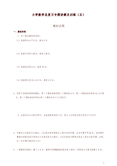 人教版小升初总复习数学归类讲解及训练(中-含答案)