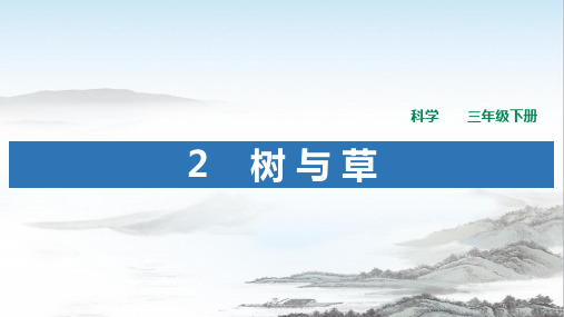 冀人版三年级科学下册  《树与草》PPT