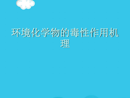 环境化学物的毒性作用机理PPT优质资料