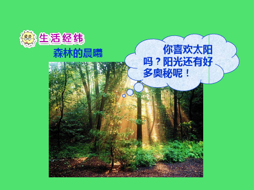 《我们和太阳做游戏》PPT课件人教新课标