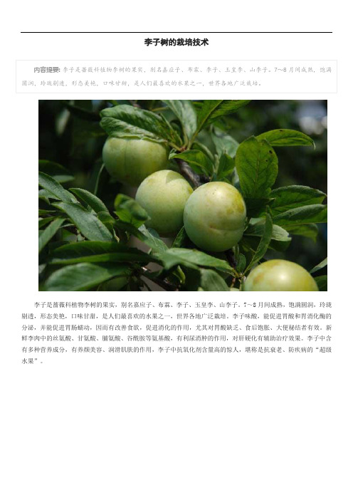 李子树的栽培技术