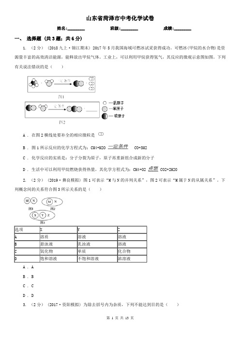 山东省菏泽市中考化学试卷   