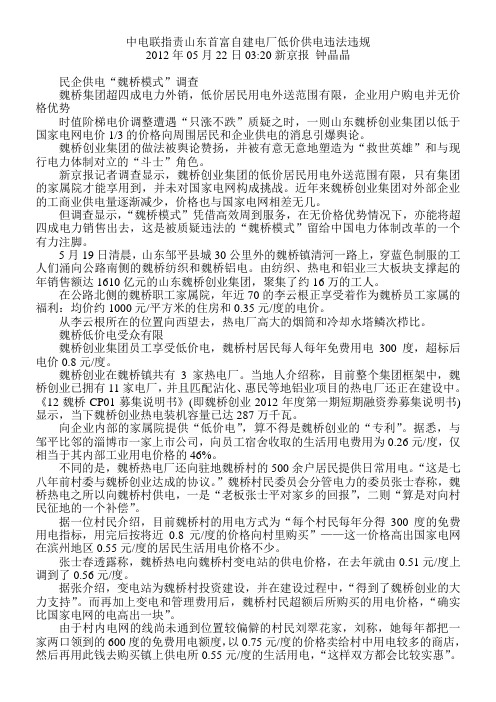 中电联指责山东首富自建电厂低价供电违法违规