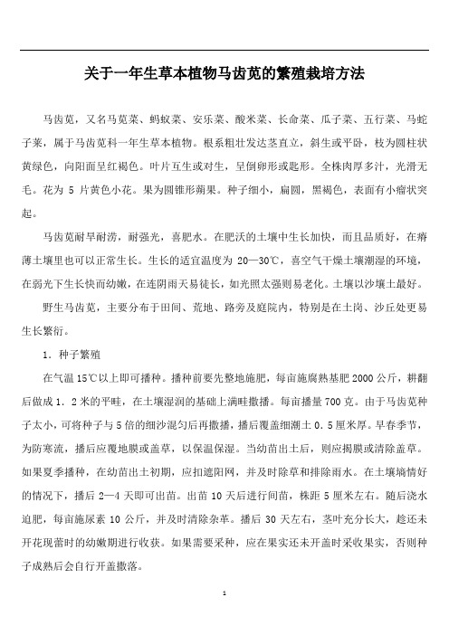 关于一年生草本植物马齿苋的繁殖栽培方法