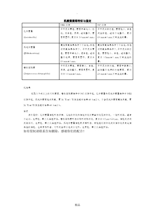 乳酸菌菌落特征与鉴定