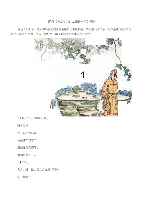 古诗《九月九日忆山东兄弟》赏析