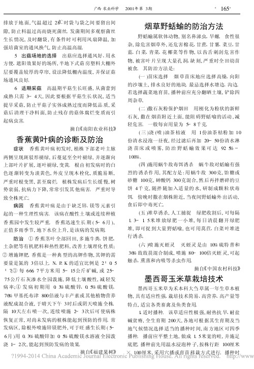 墨西哥玉米草栽培技术_廖文锋