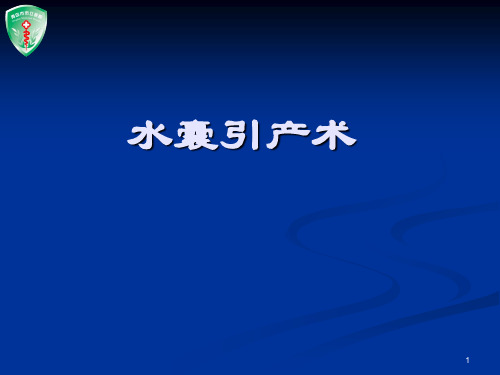 水囊引产术PPT参考幻灯片