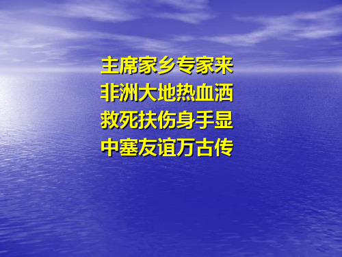 援外工作总结及援非工作汇报(PPT 160页)