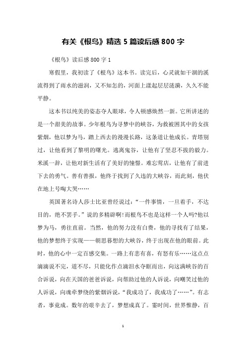 有关《根鸟》精选5篇读后感800字