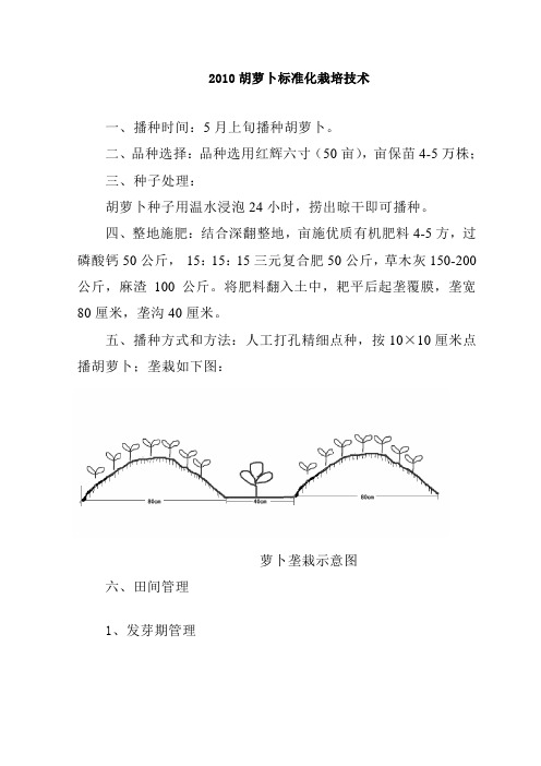 胡萝卜标准化栽培技术