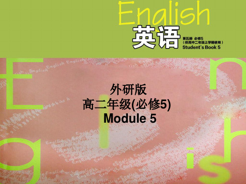 Module 5 The Great Sports Personality (16)课件
