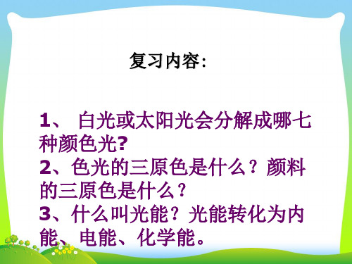 新苏科版八年级物理上册第三章第二节人眼看不见的光(课件) (共34张PPT).ppt