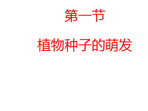 第一节植物种子的萌发课件课件2021--2022学年苏教版生物七年级上册