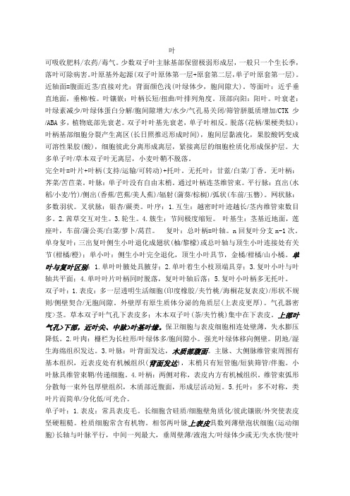 生物奥赛植物学要点叶