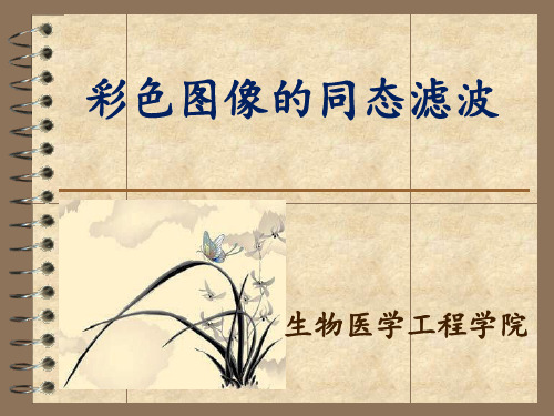 彩色图像的同态滤波