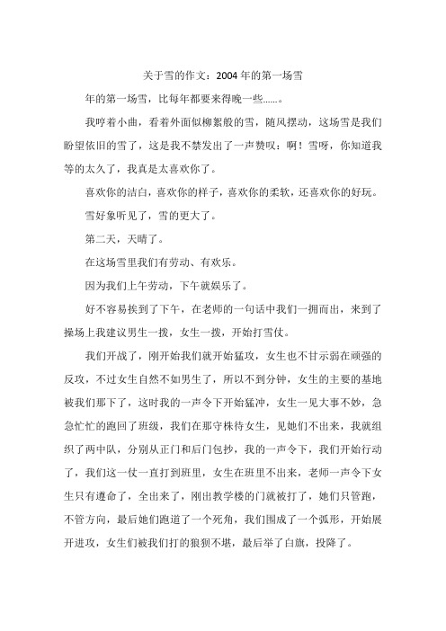 关于雪的作文：2004年的第一场雪-作文