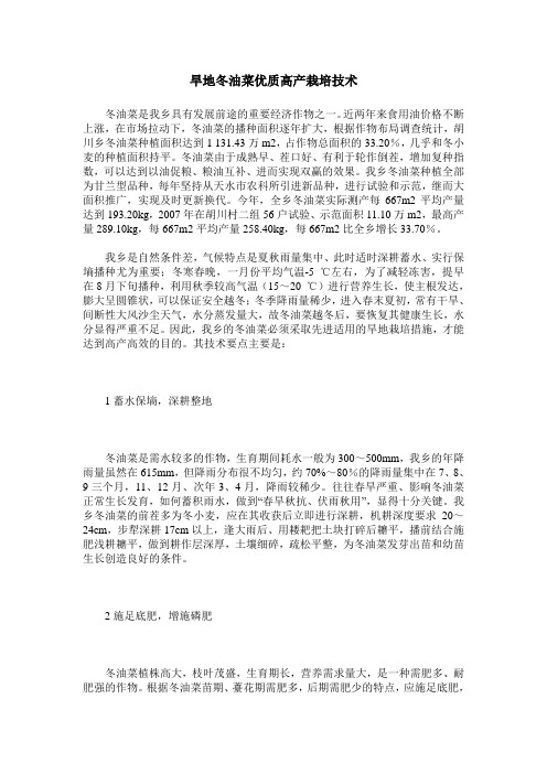 旱地冬油菜优质高产栽培技术
