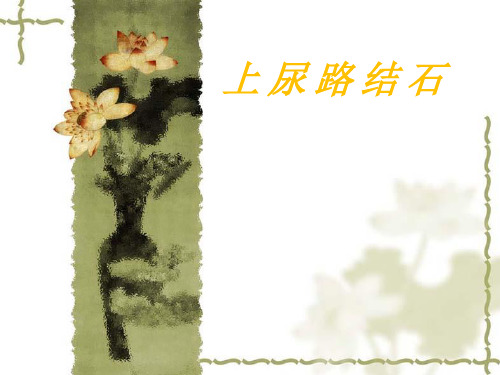 上尿路结石课件