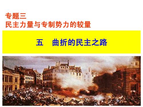 曲折的民主之路 (1)
