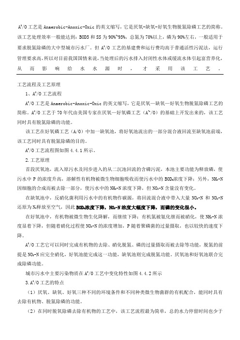 AO工艺规程及工艺原理