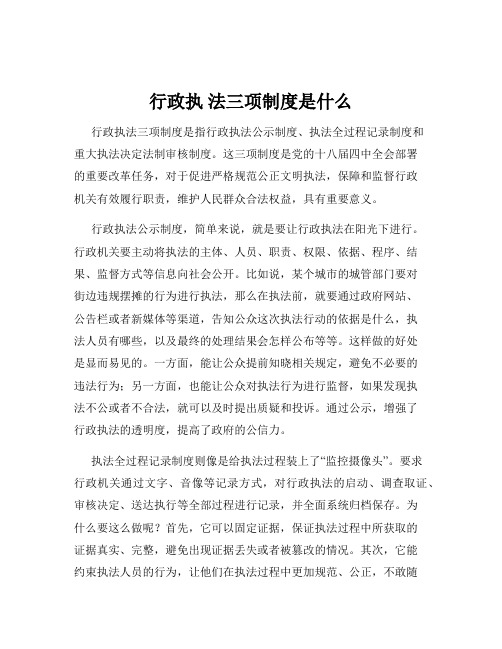 行政执 法三项制度是什么