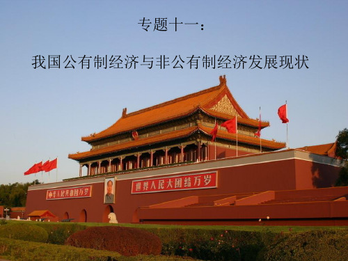 我国公有制经济与非公有制经济发展现状ppt课件