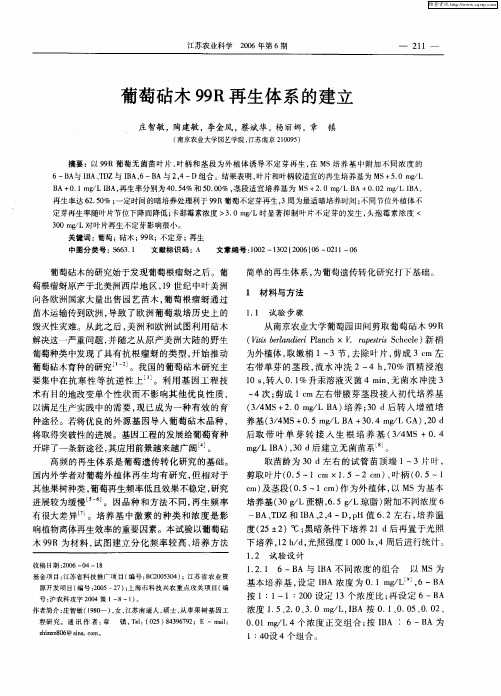 葡萄砧木99R再生体系的建立