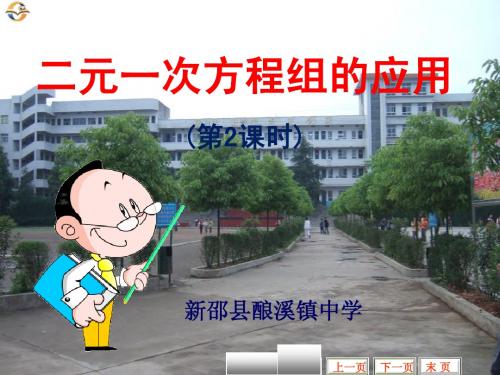 2.3二元一次方程组的应用(2)课件 课件(七年级湘教版下册)