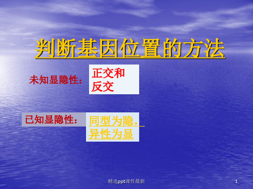判断基因的位置的方法PPT课件