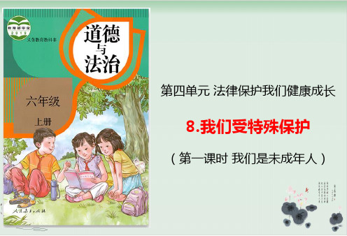 【部编版】六年级上册道德与法治《我们受特殊保护》优质课件