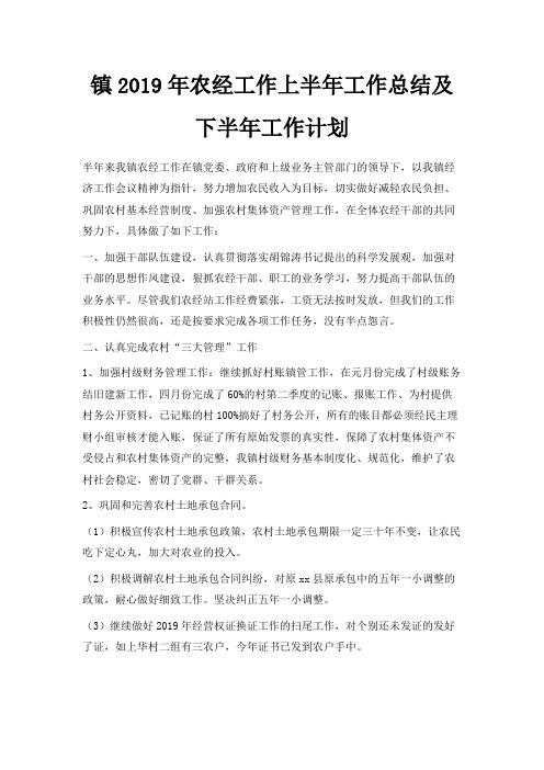 最新-镇2019年农经工作上半年工作总结及下半年工作计划 精品