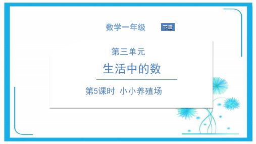 北师大版一年级下册数学课件 第5课时 小小养殖场 (共12张PPT)