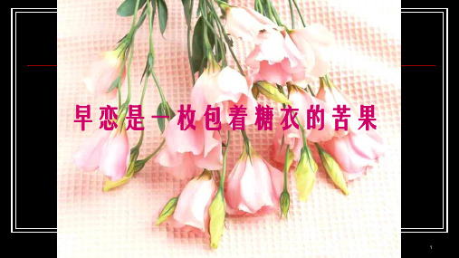 班会早恋一颗包着糖衣的苦果演示课件