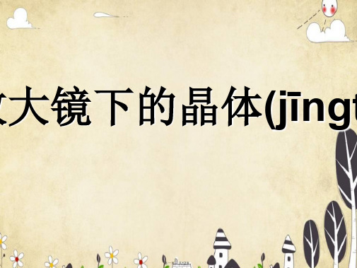 教科版六年级下册科学《放大镜下的晶体》教学课件