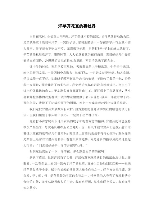 洋芋开花赛牡丹