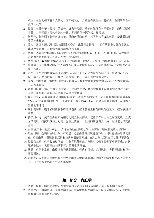 解剖名词解释