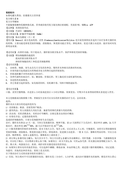猫咪肝病治疗的各种办法