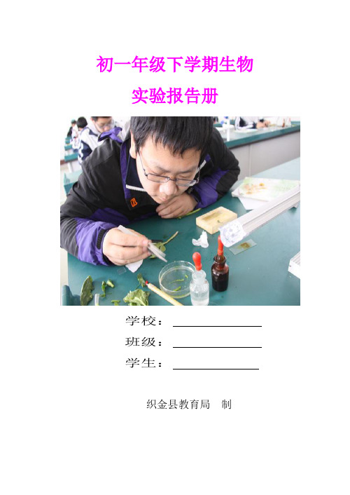 初一年级下学期生物实验报告册