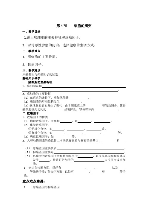 高中生物《 细胞的癌变》学案(新人教版必修1)