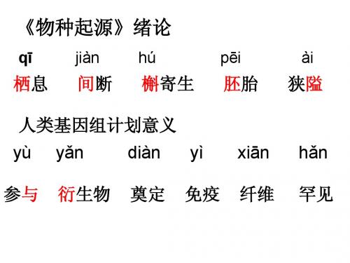 必修五字音