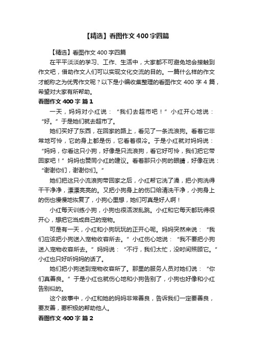 【精选】看图作文400字四篇
