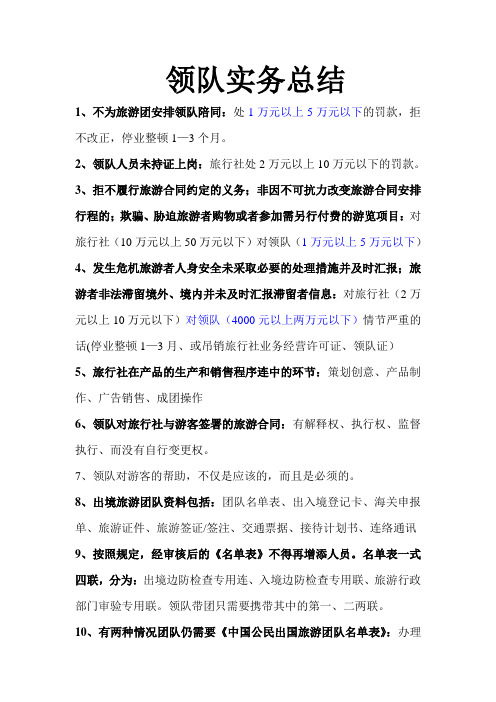 2012年领队实务总结范文