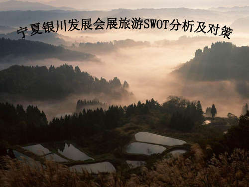 宁夏银川SWOT分析