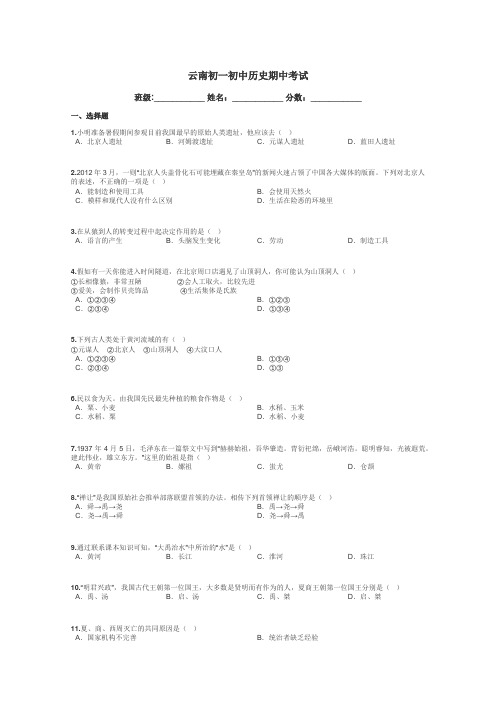 云南初一初中历史期中考试带答案解析
