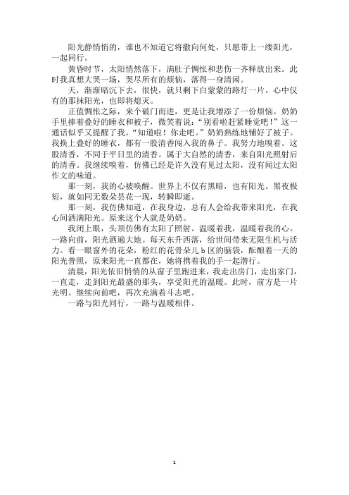 最新一路与阳光同行作文