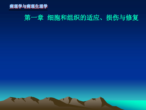 损伤与修复