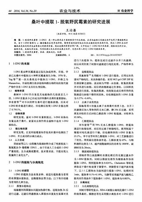 桑叶中提取1-脱氧野尻霉素的研究进展