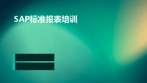 SAP标准报表培训